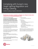 SLR_Lighting_EN.pdf